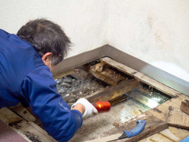 Best Mold Testing  in Gore, OK