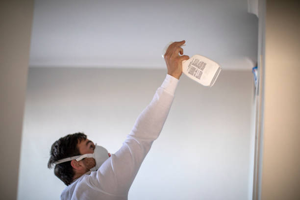 Best Attic Mold Removal  in Gore, OK