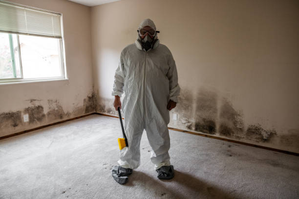 Best Local Mold Removal Service  in Gore, OK